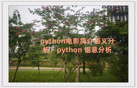python电影简介语义分析，python 语意分析